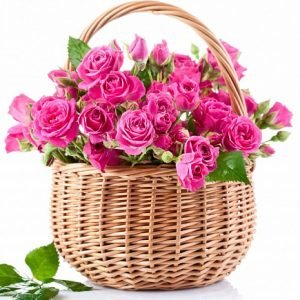 Basket of 15 pink spray roses