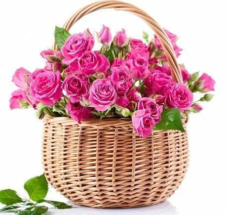 Basket of 15 pink spray roses