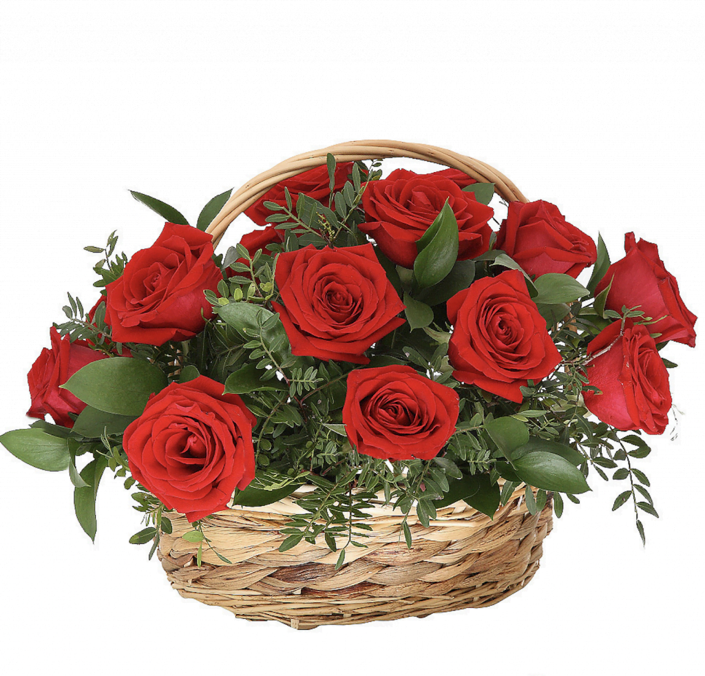 Basket of 12 red roses - My Roses