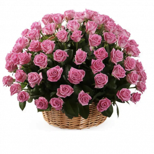 Basket with 70 pink roses
