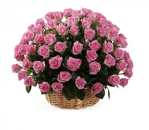 Basket with 70 pink roses