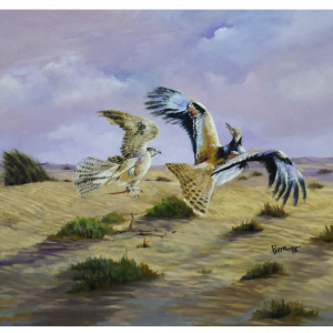 BT731755591, Fine Art “Hunting Falcon”, 30x40cm