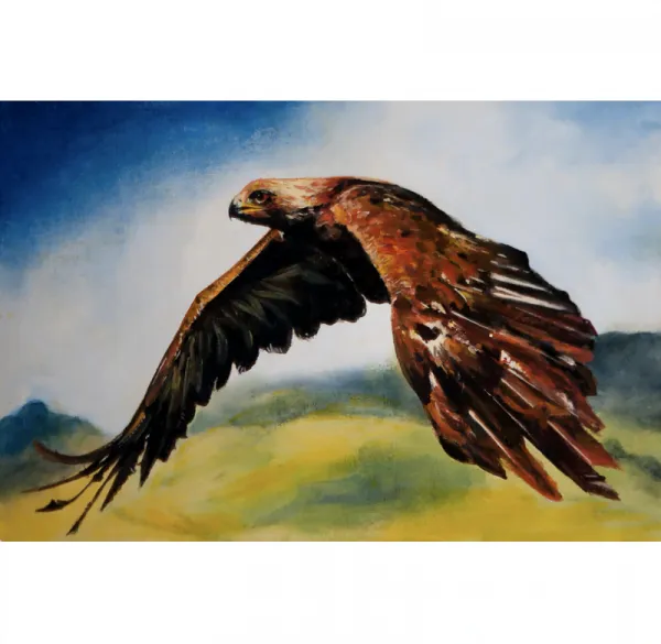 BT 1242327415, Fine Art "Hawk", 30x40cm