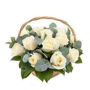 Basket of 12 white roses