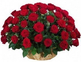 Basket with 70 red roses
