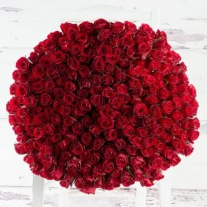 Bouquet with 200 premium red roses