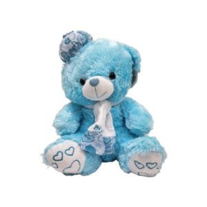 Blue Teddy Bear “It’s a Boy”