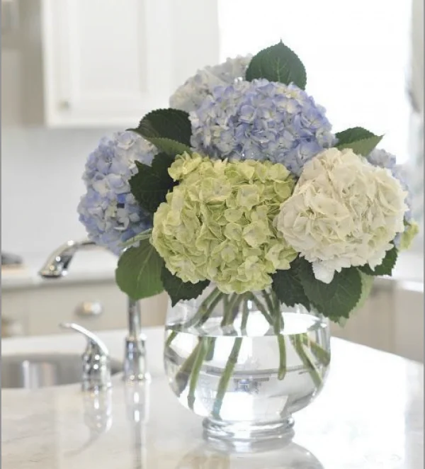 "Mixed Hydrangea Bouquet" Five steams of Hydrangea in a vase