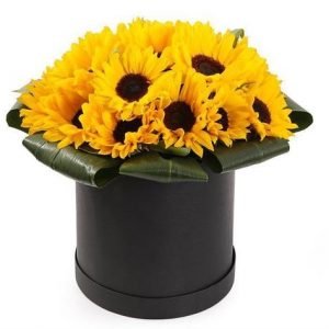 Box of 12 sunflowers “Sunny Box”