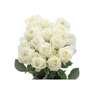 “White Twelve Bouquet”12 white roses with greeneries bouquet