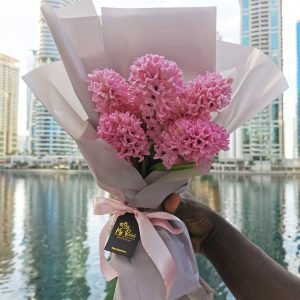 Bouquet of 5 pink hyacinths