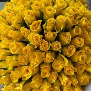 Bouquet with 100 premium yellow roses