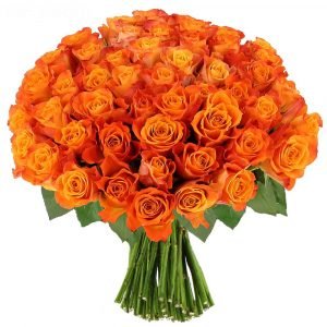 Bouquet with 50 orange roses