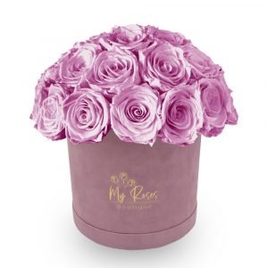 Lilac Velvet Box With 24 Lilac Roses