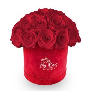 Red Velvet Box With 24 Red Roses
