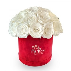 Red Velvet Box With 24 White Roses
