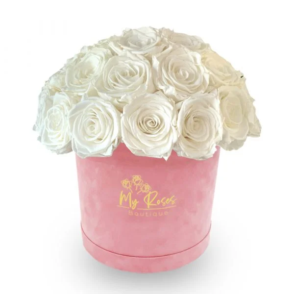 Pink Velvet Box With 24 White Roses