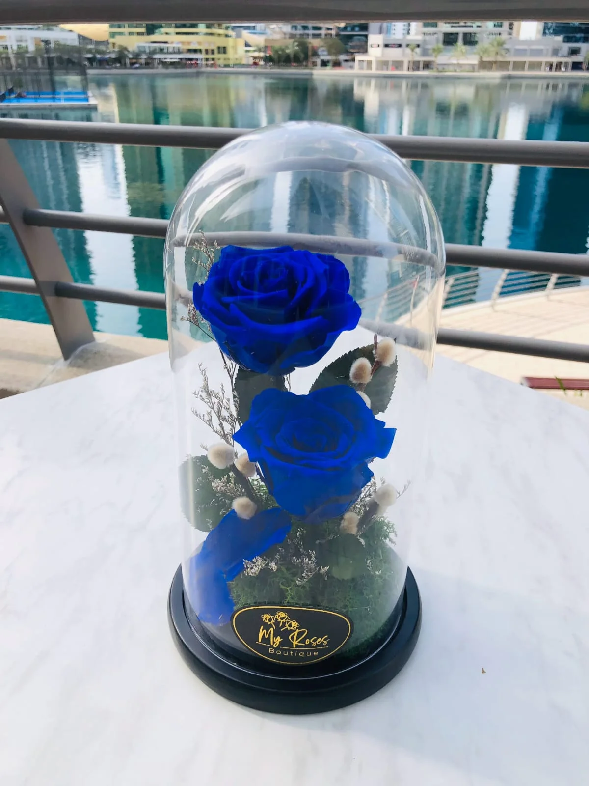 Dual infinity blue roses