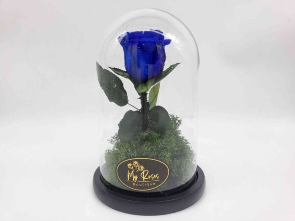 Single Blue Forever Rose In A Glass Dome With Black Tied Ribbon