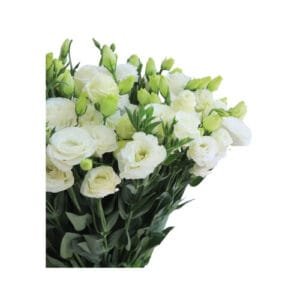 A Bunch of White Eustoma Bouquet