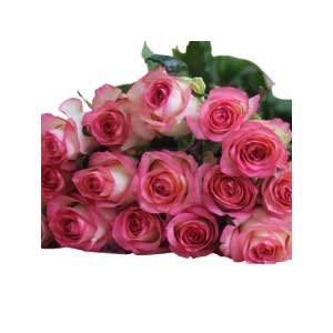 24 Pink Roses Bouquet