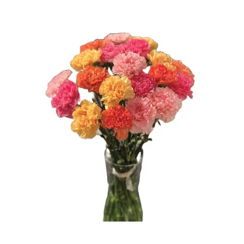 Bouquet Of 20 Mixed Color Carnations In A Vase