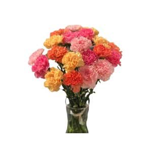 Bouquet Of 20 Mixed Color Carnations In A Vase