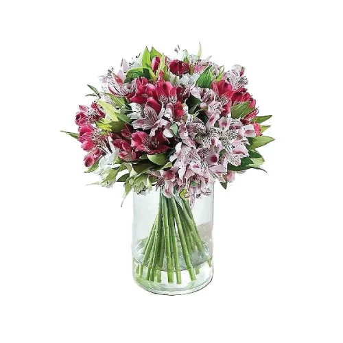 Bouquet of 20 Mixed Color Alstroemerias in a Vase