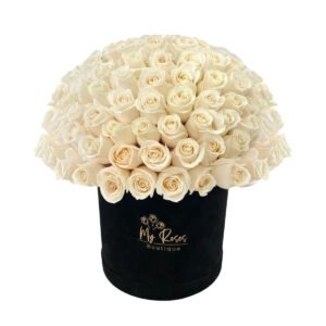 Black Velvet Box With 200 White Roses