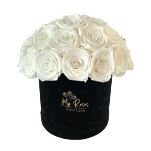 Black Velvet Box With 36 White Roses