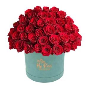 Blue Velvet Box With 200 Red Roses