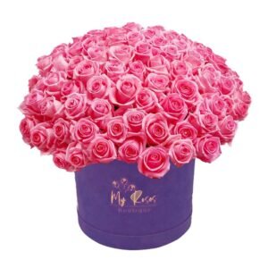 Dark Purple Velvet Box With 200 Pink Roses