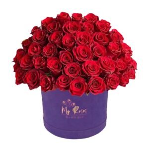 Dark Purple Velvet Box With 200 Red Roses