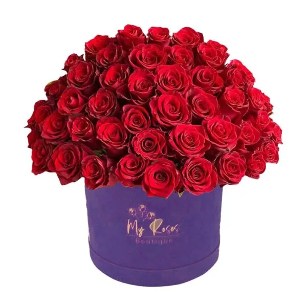 Dark Purple Velvet Box With 200 Red Roses