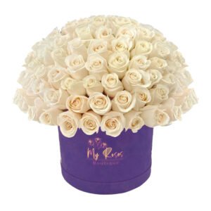 Dark Purple Velvet Box With 200 White Roses