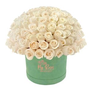 Light Green Velvet Box With 200 White Roses