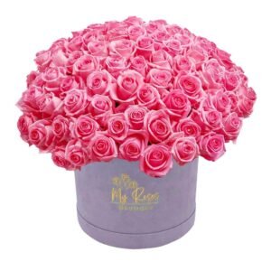 Light Purple Velvet Box With 200 Pink Roses