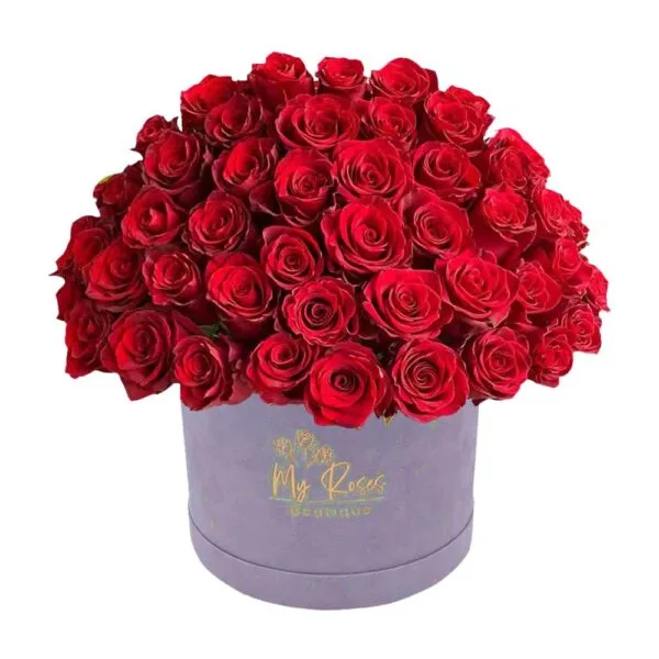 Light Purple Velvet Box With 200 Red Roses