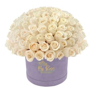 Light Purple Velvet Box With 200 White Roses