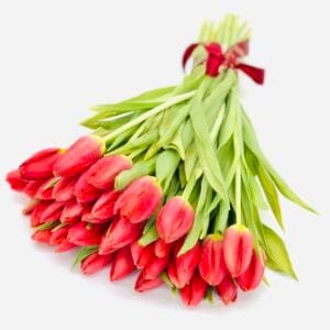 13 Red Tulips