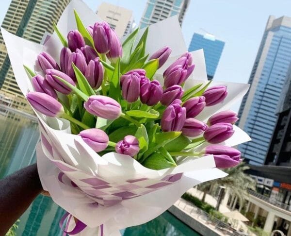 21 Purple Tulips