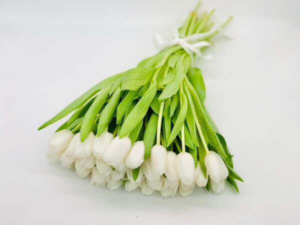 35 White Tulips Bouquet