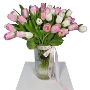 51 Pink & White Tulips