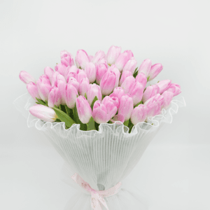 51 Pink Tulips