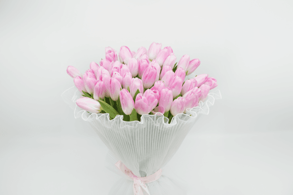 51 Pink Tulips