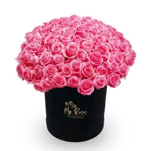 Black Velvet Box With 50 Pink Roses