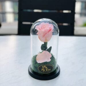 Single Pink Forever Rose – Small