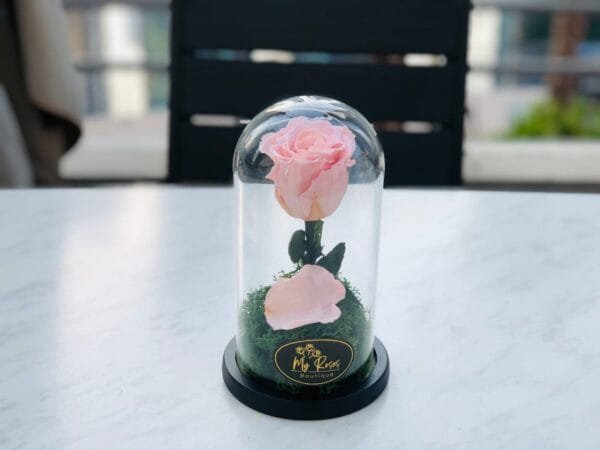 Single Pink Forever Rose - Small