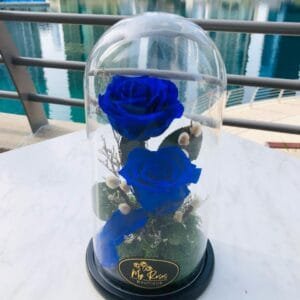 Twin Blue Forever Roses – Medium