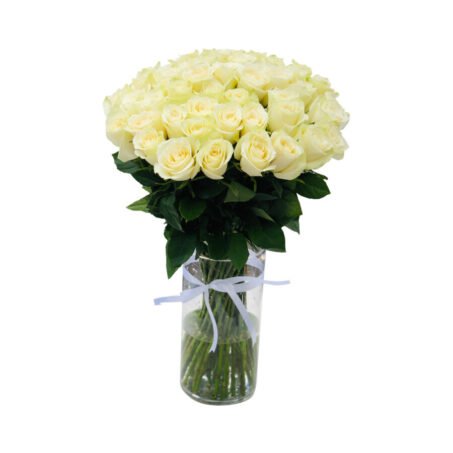 50 white roses in a vase